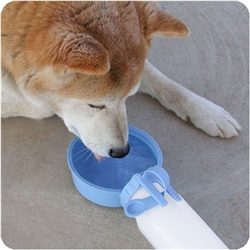 Water Rover Portable Drinking Bowl