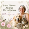 Bach Flower Animal Email Consultation