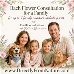 Bach Flower Email Consultation for a family for up to 4 family members, including pets