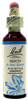 Beech 20ml