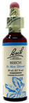 Beech 20ml