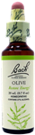 Olive 20ml