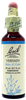 Vervain 20ml
