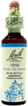 Vine 20ml