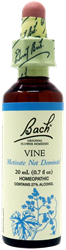 Vine 20ml