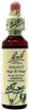 Walnut 20ml