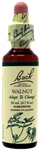 Walnut 20ml