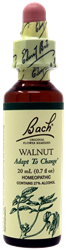 Walnut 20ml
