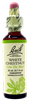 White Chestnut 20ml