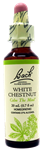 White Chestnut 20ml