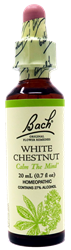 White Chestnut 20ml
