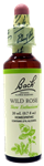 Wild Rose 20ml