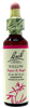 Willow 20ml