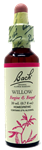 Willow 20ml