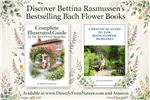 Book Bundle by Bettina Rasmussen