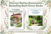 Book Bundle by Bettina Rasmussen