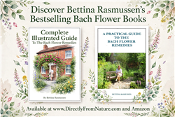 Book Bundle by Bettina Rasmussen