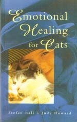 Emotional Healing for Cats