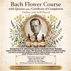 Bach Flower Remedies Online Course with Certification – Self-Paced Training for Emotional Healing and Pet Wellness
