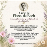 Curso de flores de Bach con cuestionarios y certificado de finalización