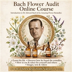 Bach Flower Audit Online Course