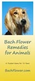 Free Literature - Bach Flower Remedies for Pets