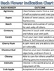 Free Literature - Bach Flower Indication Chart