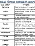 Free Literature - Bach Flower Indication Chart