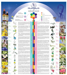 Healing Herbs - Bach Flower Poster (English)