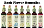 One Each of the 38 Bach Flower Remedies (20ml)