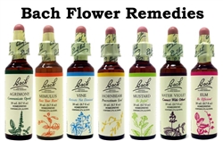 One Each of the 38 Bach Flower Remedies (20ml)