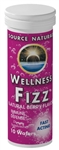 Source Naturals Wellness FizzÂ® 10 wafers Berry Flavor