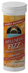 Source Naturals Wellness FizzÂ® 10 wafers Tangerine Flavor