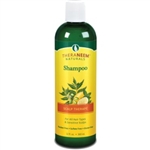 TheraNeem's- Scalp Therapy Shampoo 12 oz.